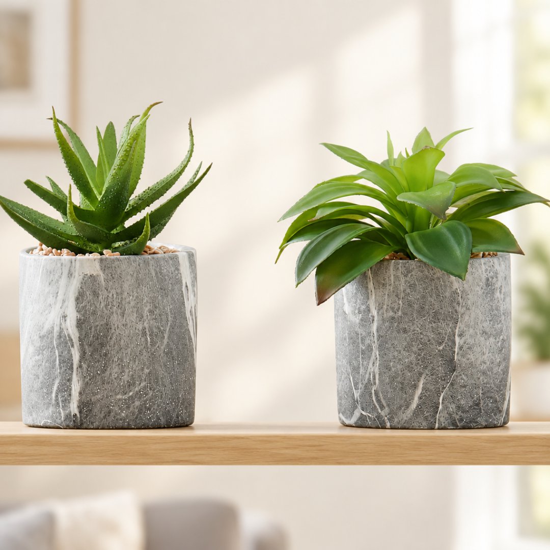 Sztuczne sukulenty w betonowych doniczkach – zestaw 2 szt., wysokość 18 cm