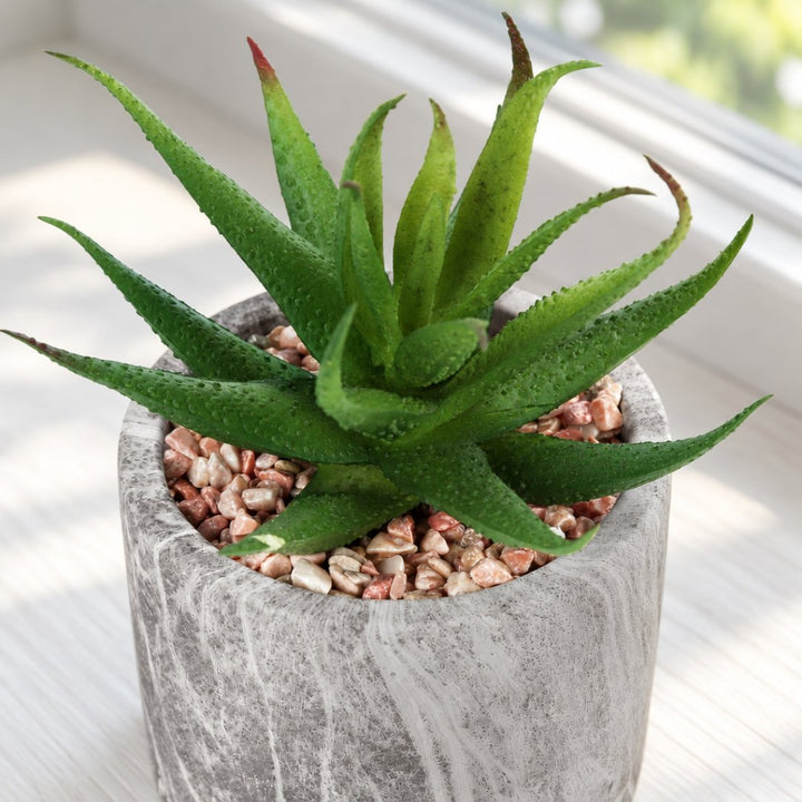 Sztuczne sukulenty w betonowych doniczkach – zestaw 2 szt., wysokość 18 cm