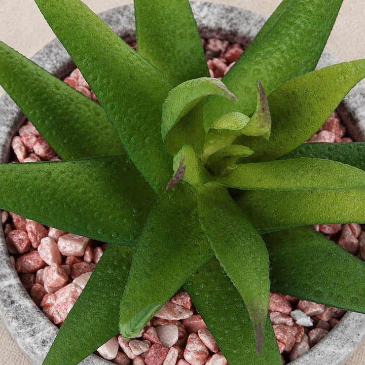 Sztuczne sukulenty w betonowych doniczkach – zestaw 2 szt., wysokość 18 cm