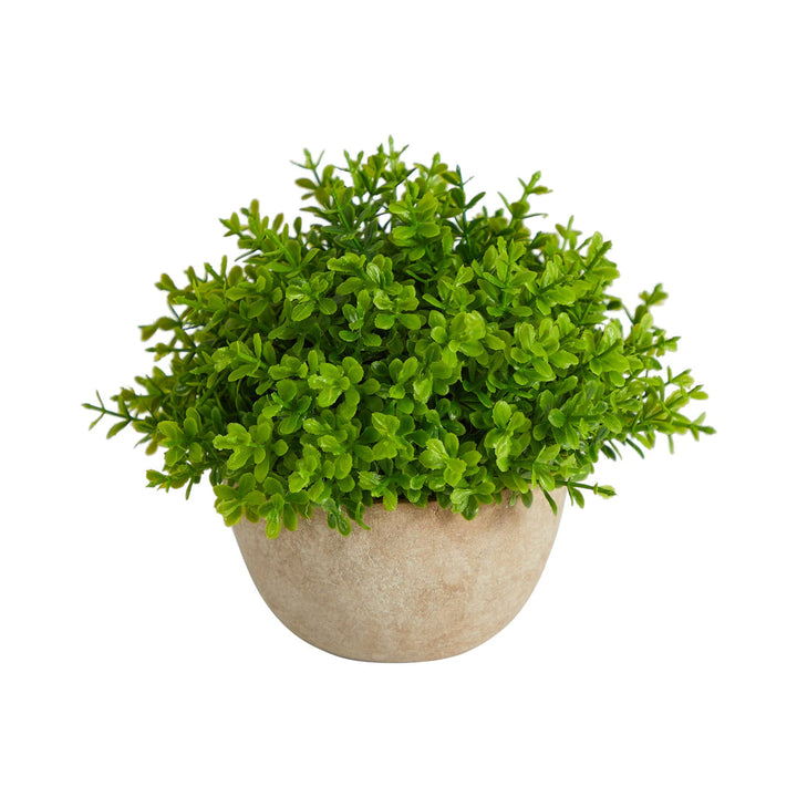 Sztuczny bukszpan w ozdobnej donicy – wysokość 13 cm