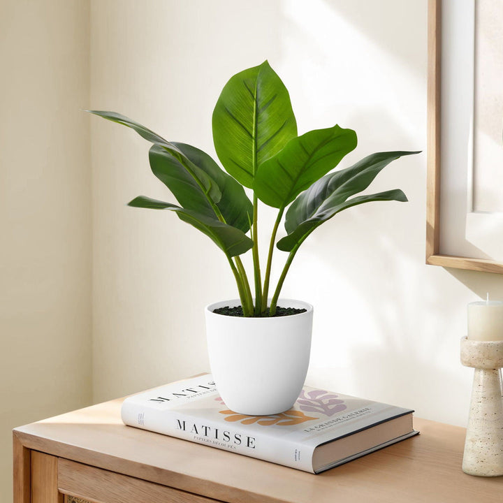 Sztuczny epipremnum w białej doniczce – wysokość 43 cm